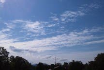 LG L90 Beispielfoto