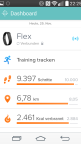 Fitbit Flex