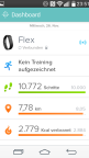 Fitbit Flex