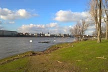 Lumia 930 Beispielfoto