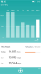 Fitbit App