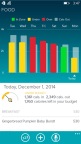 Fitbit App