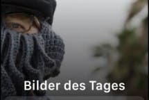 DIE WELT Apple Watch