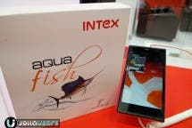 Intex Aqua Fish