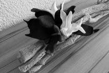 Huawei P9 Monochrom