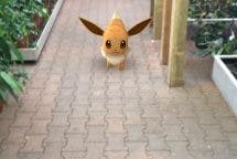 Pokémon GO Screenshot