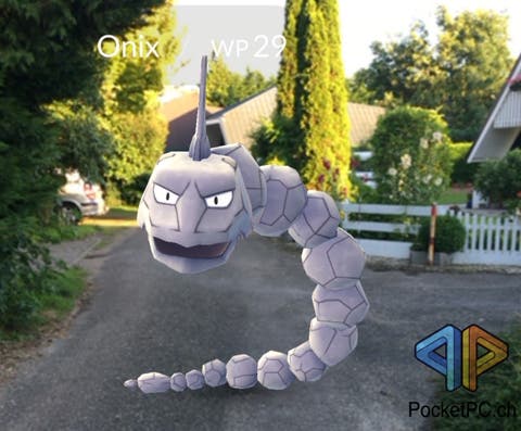 Pokemon GO Onyx
