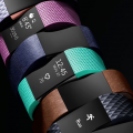 Fitbit Charge 2