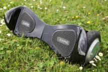 DASQ Beamie auf der Wiese