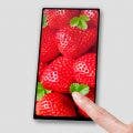 Japan Display 18:9 Screen