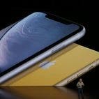 iPhone XR (Bild: The Verge/Dieter Bohn)