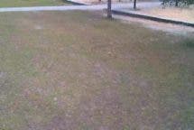 PEARL Simulus Drone Faltbarer FPV-Quadrocopter NX-9640 (2)