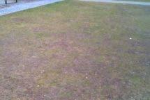 PEARL Simulus Drone Faltbarer FPV-Quadrocopter NX-9640 Beispielfoto