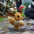 Pokémon GO Kumpel Abenteuer