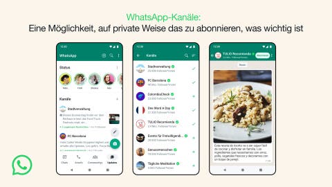 WhatsApp mit neuer Funktion: Broadcast-Feature für Unternehmen und Kunstschaffende 352402258_953766042506059_1218063770558117721_n