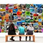 Bild von Alexa auf Pixabay