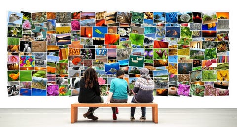 Bild von Alexa auf Pixabay