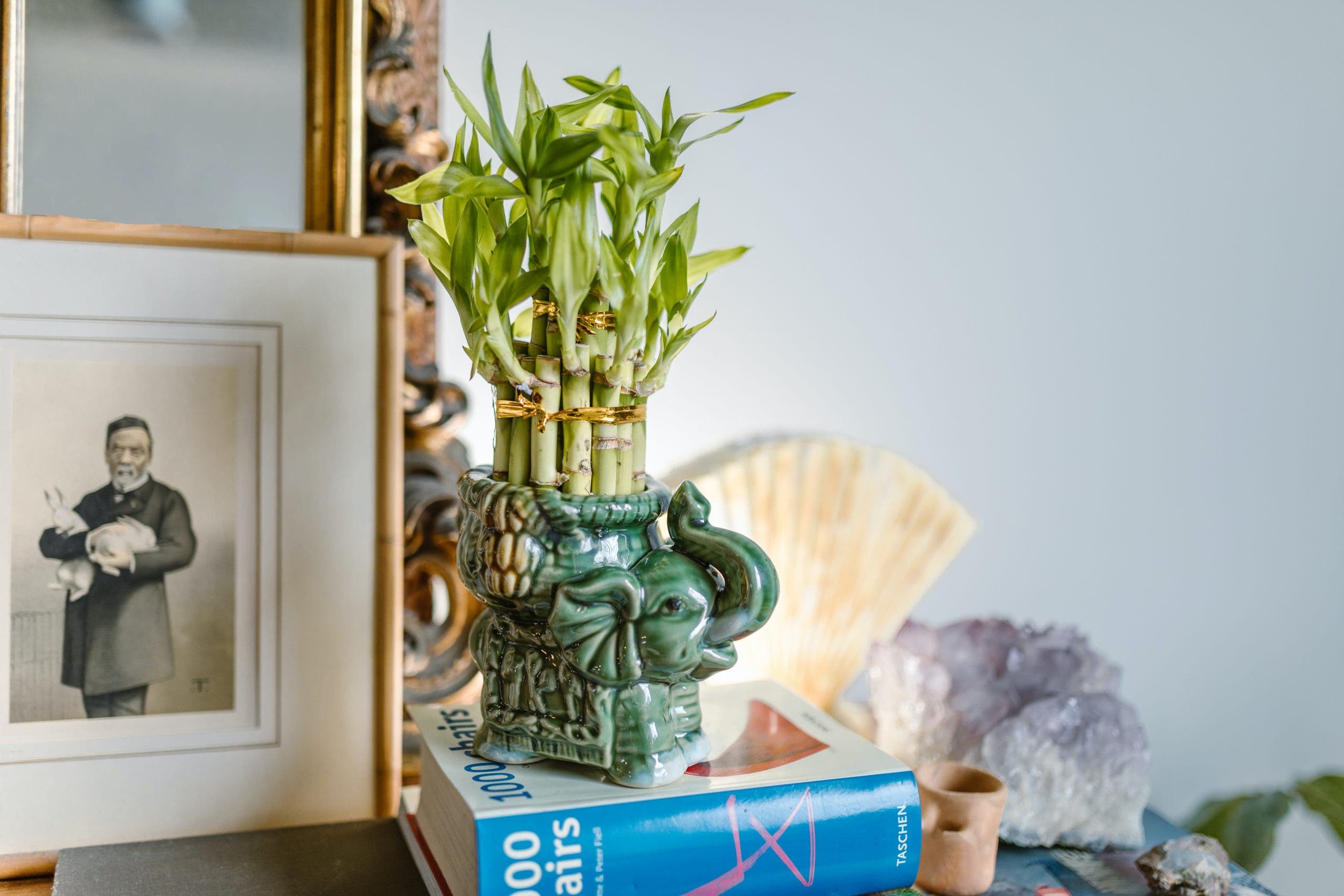 Bild: RDNE Stock project via Pexels.