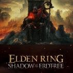Elden Ring DLC Settings Steam Deck