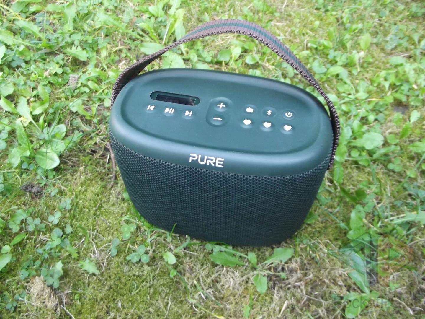 PURE Woodland Outdoor Speaker und Radio