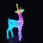 Twinkly Reindeers Stag smarte Weihnachtsbeleuchtung