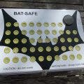 Li-Polar BatSafe Box