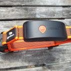 Weenect XT Tracker für Hunde und Katzen