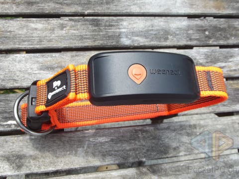 Weenect XT Tracker für Hunde und Katzen