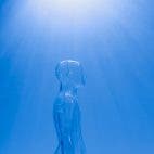 Bild: Tara Winstead via pexels